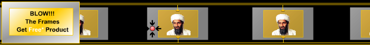 Bin Laden Shoot